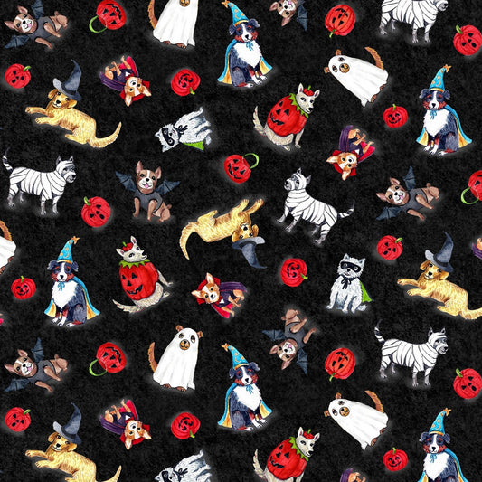 Howl-O-Ween by Casey Krimmel Spooky Poochy Black DC8935-BLAC-Cotton Woven Fabric