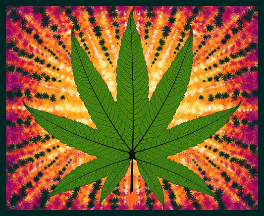 Herban Sprawl 36" Cannabis Panel 1022P-66 Digitally Printed Cotton Woven Panel