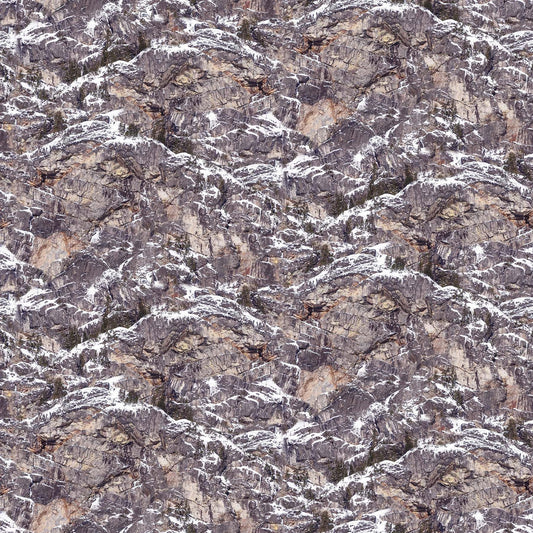 The View From Here 2 Mountain Vista Rock Face DP23702-94 Cotton Woven Fabric
