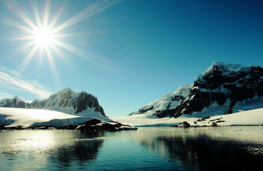 The View From Here 2 28.5 inch Panel DP23776-66 Northern Reflections Cotton Woven Panel