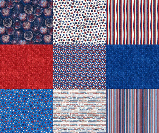 Itsy Bitsy Project Panel by Deborah Edwards 36" Panel Celebrate DP24273-1 Cotton Woven Panel