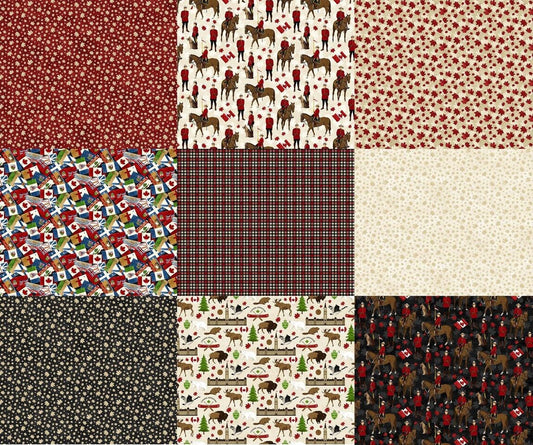 Itsy Bitsy Project Panel by Deborah Edwards 36" Panel Canadian Classics DP24278-1 Cotton Woven Panel