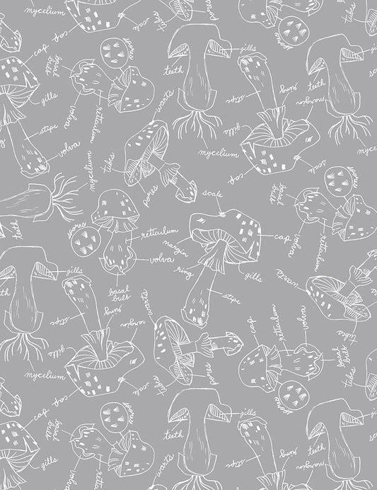 Mushroom City by Rae Ritchie Mushroom Anatomy Quarry STELLA-DRR1928-QUARRY Cotton Woven Fabric