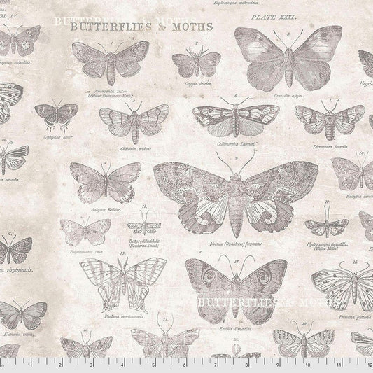 Monochrome by Tim Holtz Butterflies Parchment PWTH004.PARCHMENT Cotton Woven Fabric
