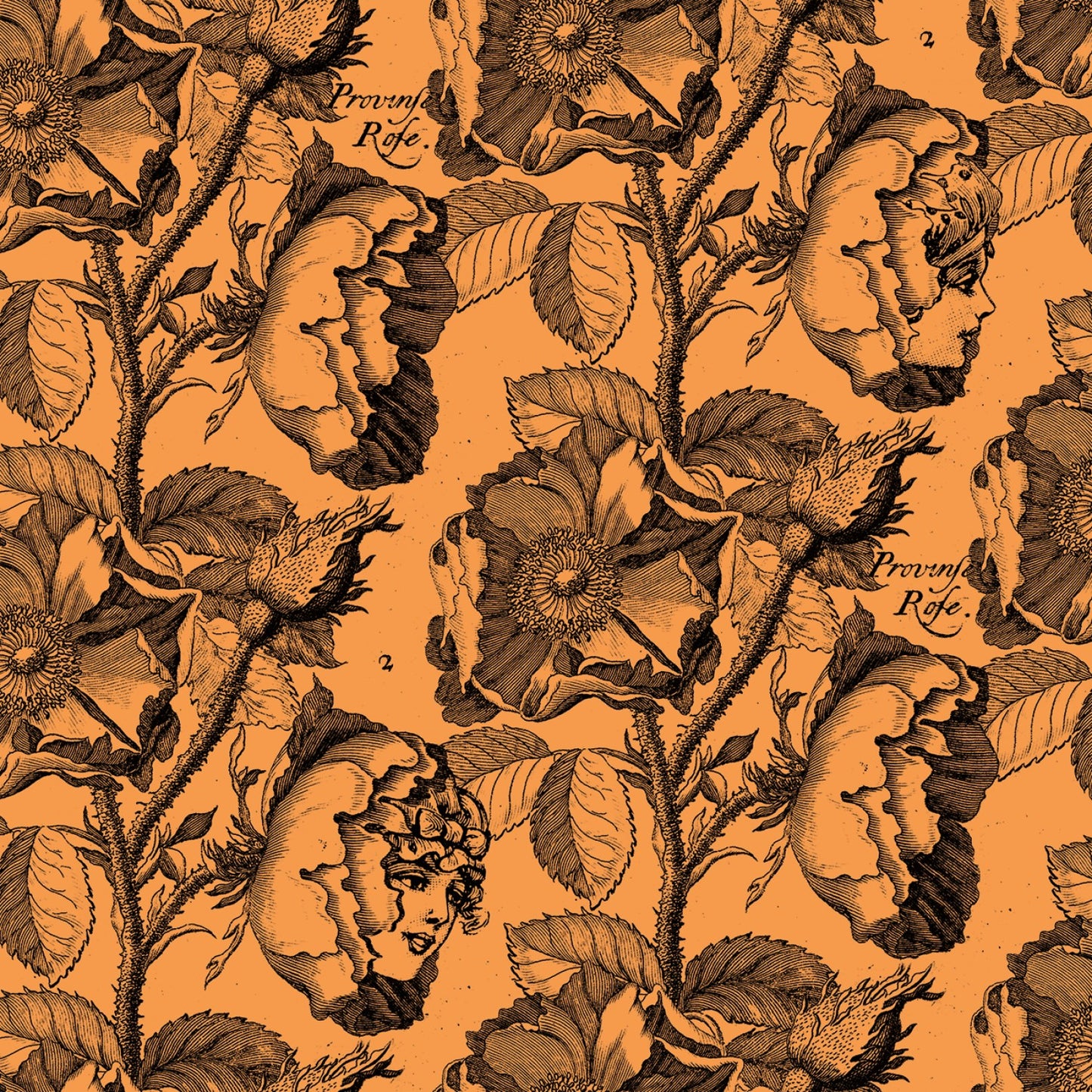 Mad Masquerade by J. Wecker Frisch Living Garden Orange    CD11955R-ORANGE Cotton Woven Fabric
