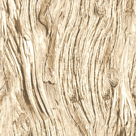 New Arrival: Open Air Driftwood Ivory    28113E Cotton Woven Fabric