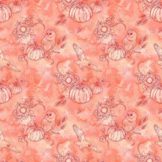 Night Owls by Kathleen Francour Pumpkin Outline Orange 6987-33 Cotton Woven Fabric