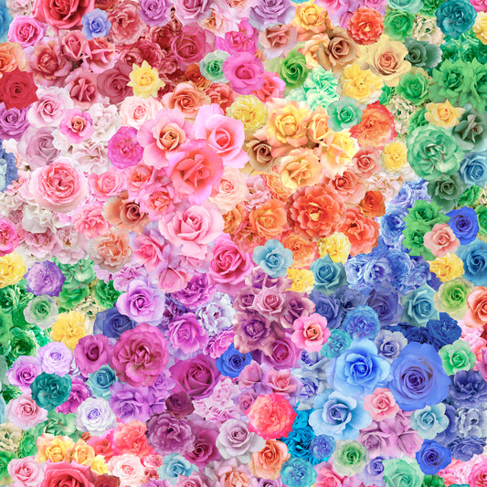 Gradients Parfait Roses Rainbow Fantasy    33640-11 Cotton Woven Fabric