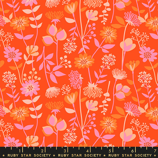 Stay Gold by Melody Miller of Ruby Star Society RS0021-11 Florida Cotton Woven Fabric