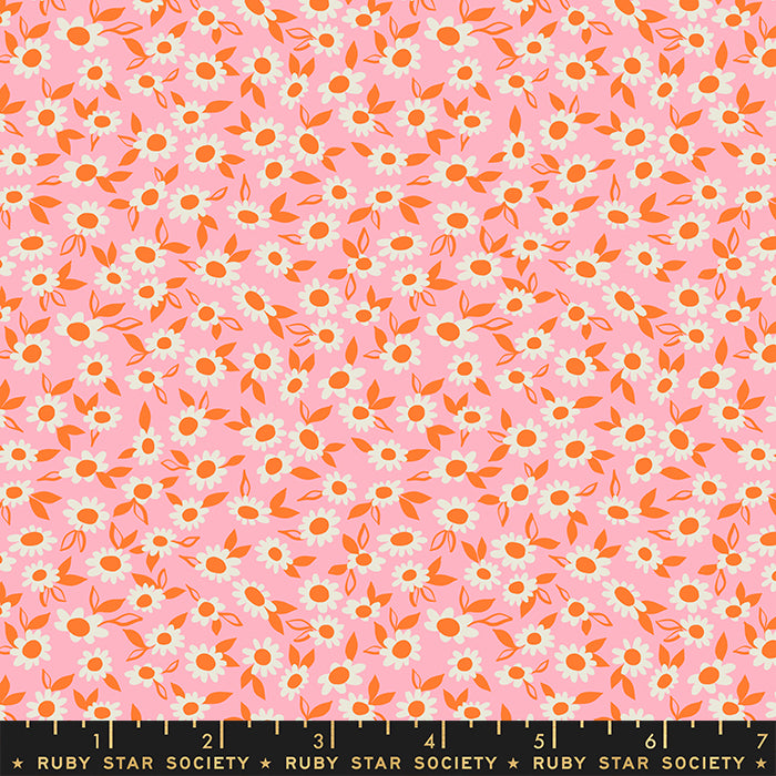Stay Gold by Melody Miller of Ruby Star Society RS0023-13 Merry Cotton Woven Fabric