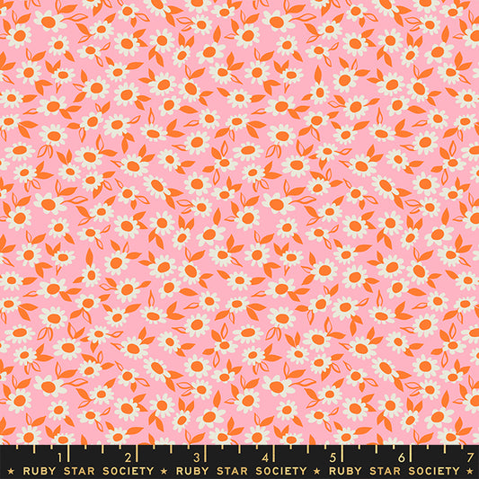 Stay Gold by Melody Miller of Ruby Star Society RS0023-13 Merry Cotton Woven Fabric