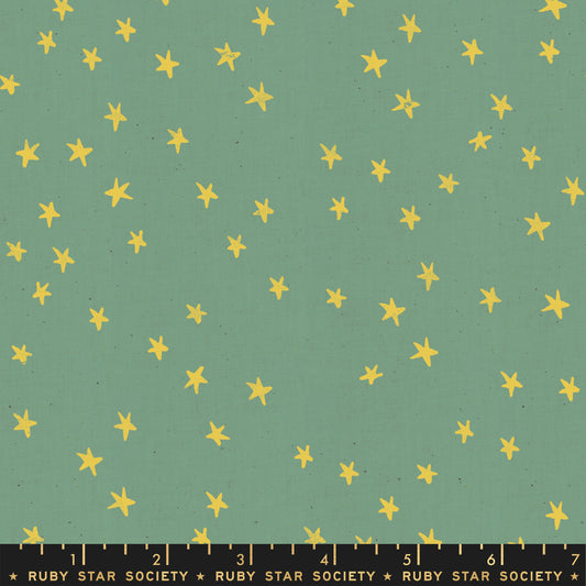 Starry by Alexia Marcelle Abegg of Ruby Star Society Soft Aqua    RS4006-24 Cotton Woven Fabric