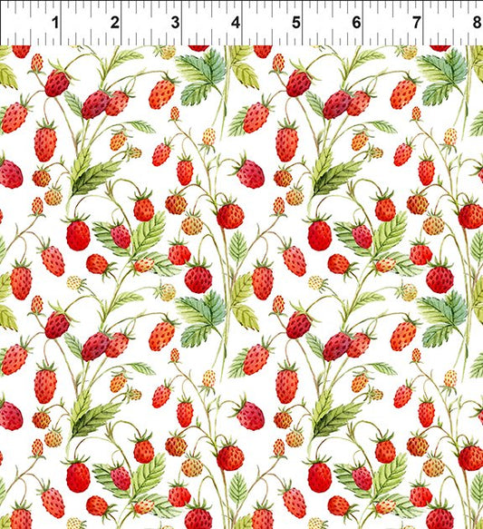 Hedgehog Hollow Strawberries White     8HH-1 Cotton Woven Fabric