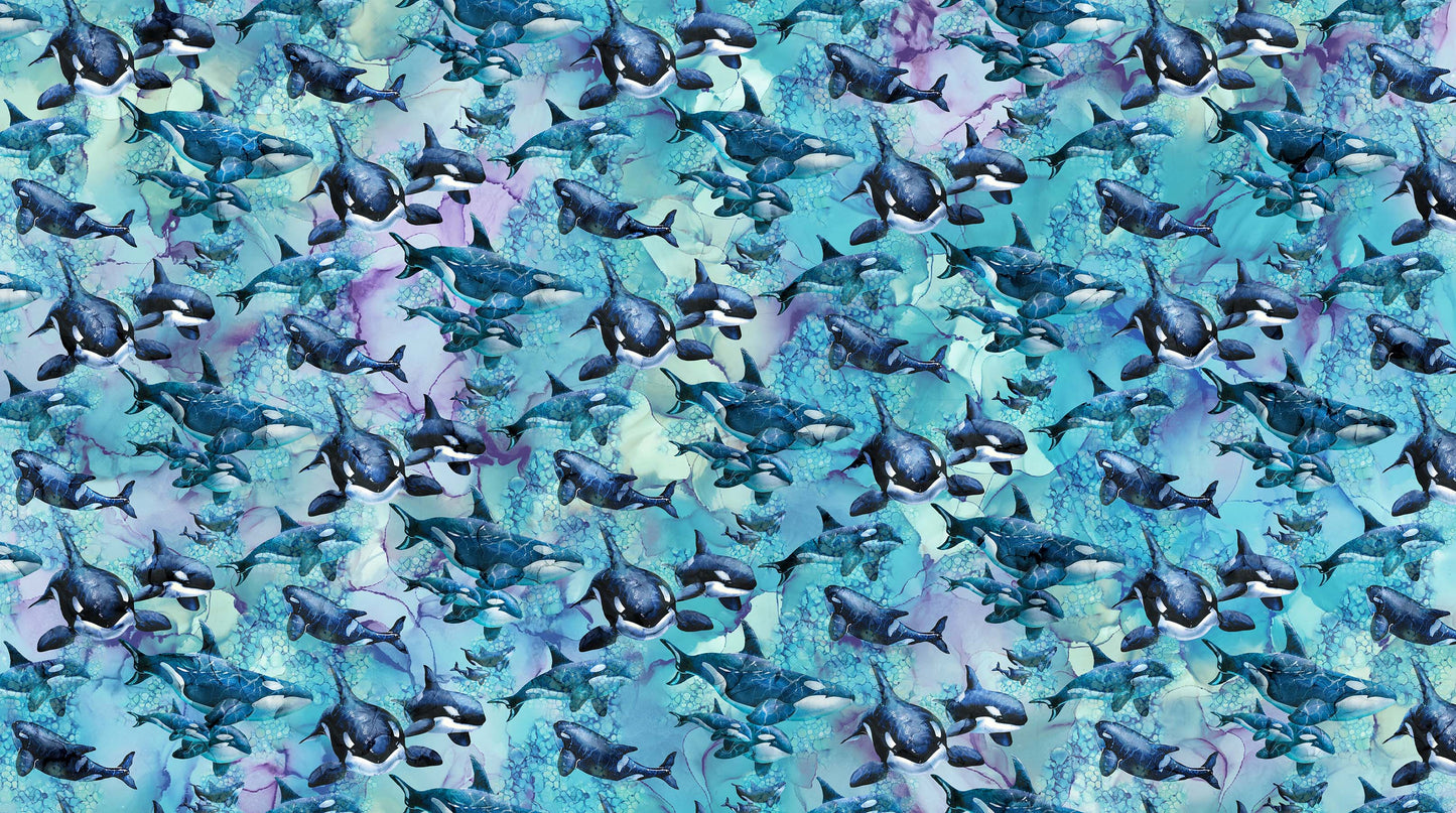 Whale Song Digital by Jody Bergsma, Deborah Edwards and Melanie Samra Whales Blue    DP24982-44 Cotton Woven Fabric