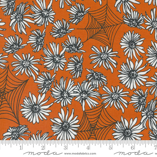 New Arrival: Noir by Alli K Design Whispering Webs Pumpkin    11541-24 Cotton Woven Fabric